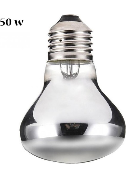 50W Tarzı E27 Isıtma Ampulü 50W 100W Sürüngen Yılan Kaplumbağa Isıtma Lambası Seramik Isıtıcı Isı Işık Ampulü Evcil Hayvan Yavrulayıcı Sürüngen Lambası (Yurt Dışından)