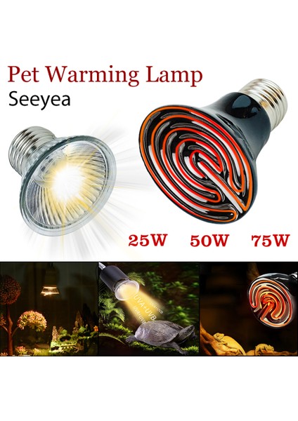 Seramik Ampul 25W Tarzı Kaplumbağa Isıtma Lambası Mini Evcil Isıtma Ampibi Lambası Kertenkele Sabit Sıcaklık Ultraviyole Lamba Sürüngen Kızılötesi Seramik Isıtıcı (Yurt Dışından)