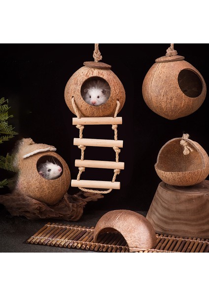 C Stili Doğal Hindistan Cevizi Kabuğu Hamster Yuvası Küçük Hayvan Evcil Mağara Yuvası Kamuflaj Kafes Suriye Hamster Erinaceinae Yuvası Evi Çiğneme Oyuncakları (Yurt Dışından) modelleri