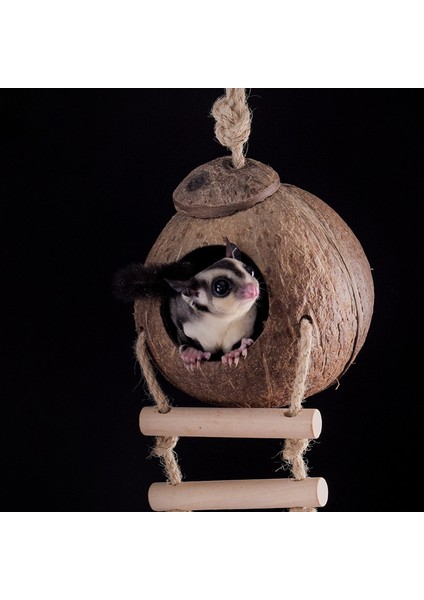 C Stili Doğal Hindistan Cevizi Kabuğu Hamster Yuvası Küçük Hayvan Evcil Mağara Yuvası Kamuflaj Kafes Suriye Hamster Erinaceinae Yuvası Evi Çiğneme Oyuncakları (Yurt Dışından) fırsatları
