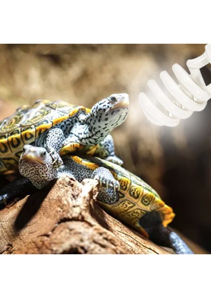 26W 5.0 Tarzı Sürüngen Uvb Lambası Ampul Kaplumbağa Kertenkele Yılan Iguanalar Isı Kalsiyum Lambası Enerji Tasarruflu Işık Sürüngen Sukulent E27 (Yurt Dışından) modelleri