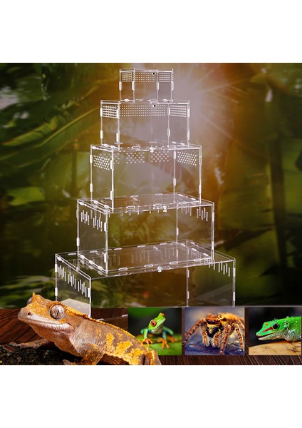 8X7X10CM Stili Sürüngen Tankı Böcek Örümcek Kaplumbağa Kertenkele Akrilik Şeffaf Üreme Kutusu Vivaryum Kapak Sürüngen Evcil Hayvan Ürünü Terraryum (Yurt Dışından)