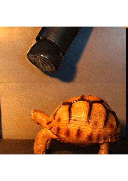 100W Tarzı 25W 50W 75W 100W E27 Siyah Kızıl Seramik Isıtıcı Ampul Kediler Kaplama Tavuklar Sürüngen Lambası (Yurt Dışından) modelleri