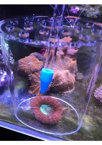 Fff-1 Stili 1 Ünite 30 ml Süper Mercan Drenaj Büyük Emme Hortumu Drenaj Emme Mikro Silindir Akvaryum Lps Mercan Kapağı Reef Borusu (Yurt Dışından) fırsatları