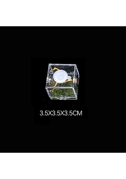 3.5x3.5x3.5cm Stili Örümcek Sürüngen Terraryum Tankı Plastik Sürüngen Üretim Kutusu Terraryum Kafesi Böcek Izleme Kutusu - Örümcek, Çekirge, Salyangoz, Tarantula Için (Yurt Dışından)