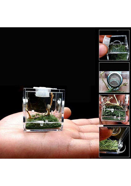 3.5x3.5x3.5cm Stili Örümcek Sürüngen Terraryum Tankı Plastik Sürüngen Üretim Kutusu Terraryum Kafesi Böcek Izleme Kutusu - Örümcek, Çekirge, Salyangoz, Tarantula Için (Yurt Dışından)