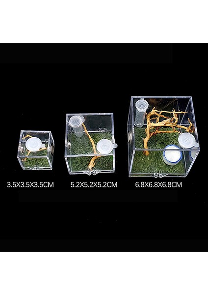 3.5x3.5x3.5cm Stili Örümcek Sürüngen Terraryum Tankı Plastik Sürüngen Üretim Kutusu Terraryum Kafesi Böcek Izleme Kutusu - Örümcek, Çekirge, Salyangoz, Tarantula Için (Yurt Dışından)