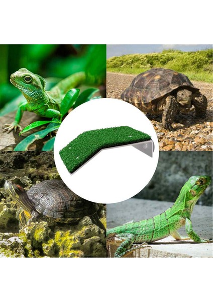 L Tarzı Akvaryum Dekor Kaplumbağa Güneşlenme Platformu Akrilik Kaplumbağa Adası Akvaryumlar Yosun Tırmanma Kurutma Güneşlenme Terası Simüle Çim (Yurt Dışından) modelleri