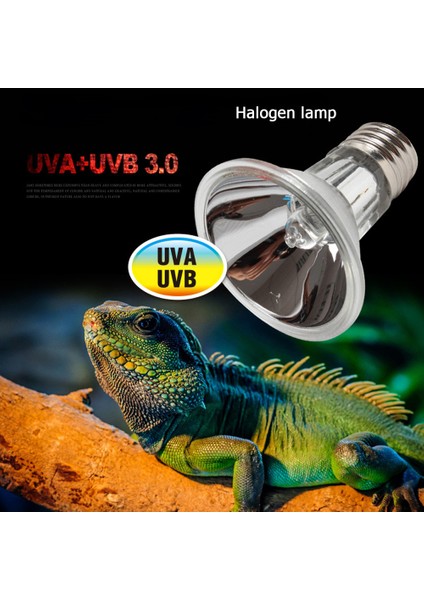 50WBULB Beyaz Tutucu Stili Yüksek Uva+Uvb 3.0 Kaplumbağa Salyangoz Isıtma Lambası Seti ile Klipsli Tutucu Sürüngen Kaplumbağa Isınma Ampulü Sıçramaya Dayanıklı Isı Lambası (Yurt Dışından)