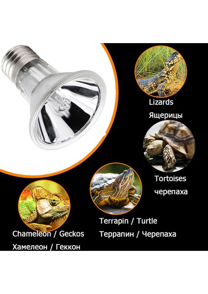 50WBULB Beyaz Tutucu Stili Yüksek Uva+Uvb 3.0 Kaplumbağa Salyangoz Isıtma Lambası Seti ile Klipsli Tutucu Sürüngen Kaplumbağa Isınma Ampulü Sıçramaya Dayanıklı Isı Lambası (Yurt Dışından)
