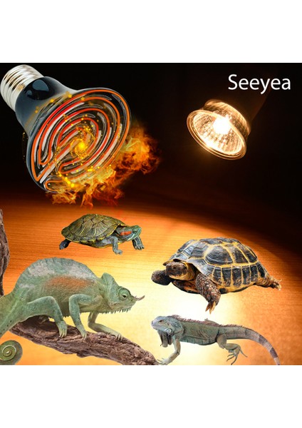 Seramik Ampul 75W Tarzı Kaplumbağa Isıtma Lambası Mini Evcil Isıtma Ampibi Lambası Kertenkele Sabit Sıcaklık Ultraviyole Lamba Sürüngen Kızılötesi Seramik Isıtıcı (Yurt Dışından)
