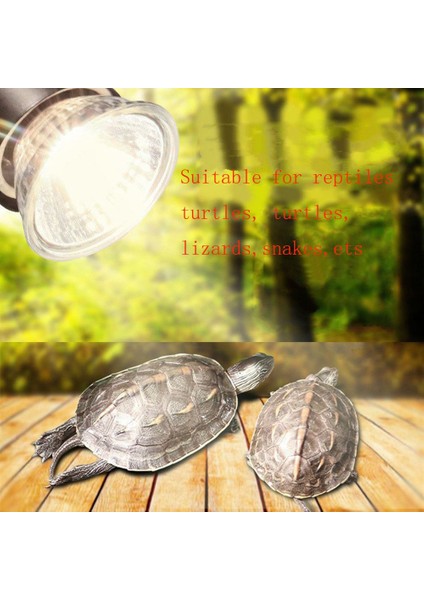 25W Tarzı Kaplumbağa Güneşlenme Uv Işık Ampul Isıtma Lambası Reptile Lambası Sürüngenler Sıcaklık Kontrol Cihazı (Yurt Dışından)