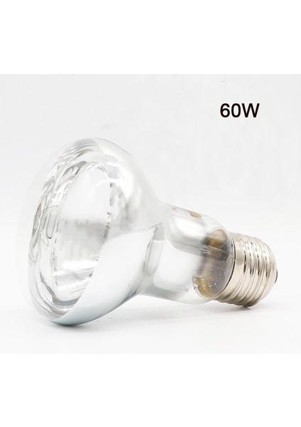 ŞEFFAF-60W Tarzı Sürüngen Isı Lambası Amfibi Kuş Yılan Kuzu Kırmızı Işık Gece Isıtma Izolasyon Lambası - Ürün Açıklaması: Kertenkeleler Kaplumbağalar Hayvan Aydınlatma Için Lamba (Yurt Dışından)