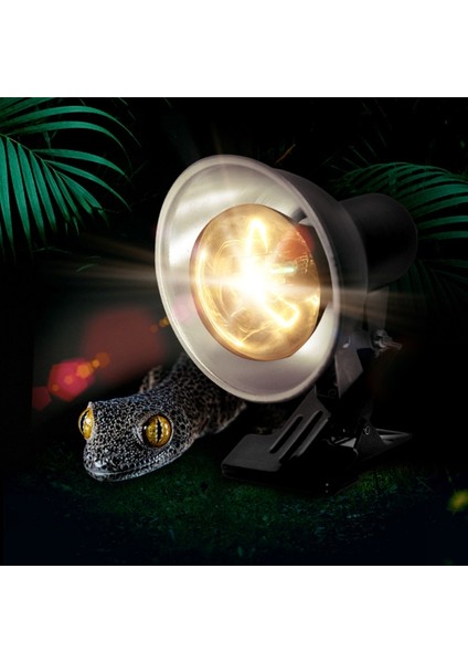 Kaplumbağa Tankı Için Sürüngen Uva Uvb Lamba Aparatı Isıtma Işık Tutucu Kelepçe (Yurt Dışından) fiyatları