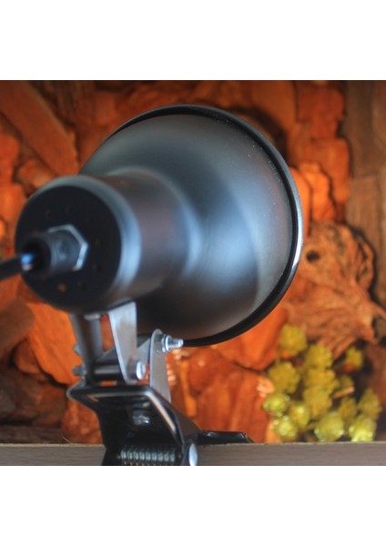 Kaplumbağa Tankı Için Sürüngen Uva Uvb Lamba Aparatı Isıtma Işık Tutucu Kelepçe (Yurt Dışından) modelleri