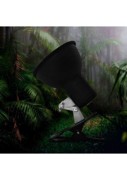 Kaplumbağa Tankı Için Sürüngen Uva Uvb Lamba Aparatı Isıtma Işık Tutucu Kelepçe (Yurt Dışından) fırsatları