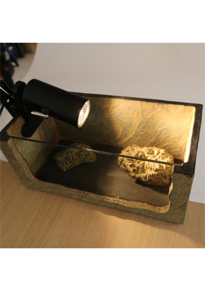 Beyaz ve 75W Lamba Stili Sürüngen Lamba Kiti Klipsli Seramik Işık Tutuculu Kaplumbağa Güneşlenme Uv Isıtma Lambası Seti Kertenkele Aydınlatma 220V Uva+Uvb 3.0 (Yurt Dışından) fırsatları