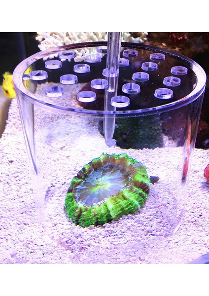 TBM-120 Stili 1 Ünite Mercan Doku Emme Hortumu - Sıvı Emme Borusu - Mercan Doku Temizleyici - Sıvı Katkı Maddesi - Deniz Suu Akvaryum Temizleme Makinesi (Yurt Dışından) modelleri