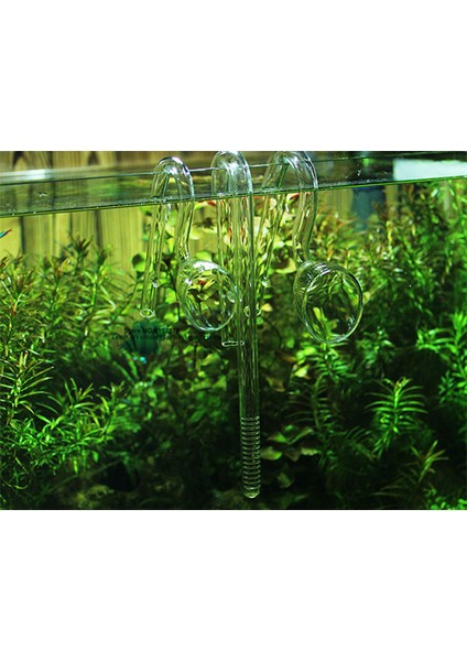 1 Adet Tutucu Tarzı M Beden Akvaryum Camı Giriş Çıkış Zambak Borusu Filtre Hortumu Seti (Yurt Dışından) fırsatları