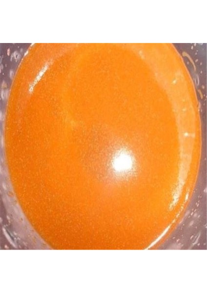 Küçük Stil Ev Yapımı Bol Karides Ayırıcı Karides Yumurta Toplayıcı Ağ Brine Karides Filtresi (Yurt Dışından) indirimleri