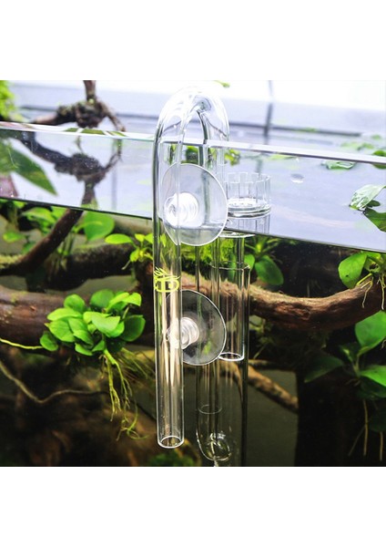 5 Adet Tarzı Akvaryum Su Filtresi Mini Nano Lily Glae Iç Dış Akvaryum Bitkileri Tankı Harici Filtre Balık Tankı Erişimi (Yurt Dışından) indirimleri