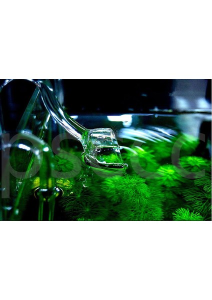 4fenyuankouchushui Stili 1 Ünite Akvaryum Camı Giriş Çıkış Zambak Boru Tankı Su Bitkisi Filtre Hortumu Seti (Yurt Dışından) indirimleri