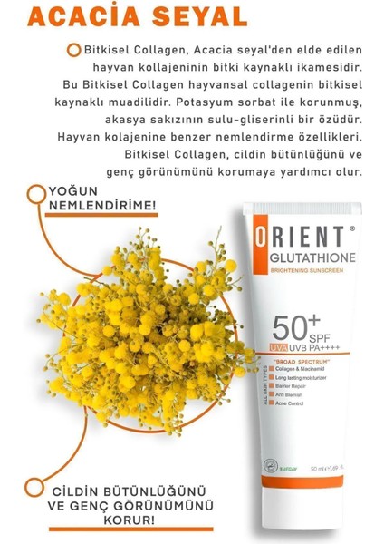 Glutatyonlu ve Kolajenli Yüksek Koruyuculu Leke Önleyici Spf 50 Güneş Kremi Vegan fırsatları