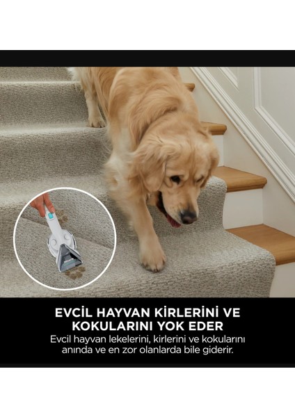 Pet Başlıklı, Koltuk Halı Yıkama Kir Çıkarma Makinesi -3 Yıl Garanti