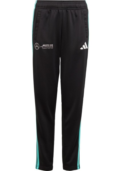 Performance JV5431 MERCEDES - AMG PETRONAS FORMULA ONE TEAM DNA PANT