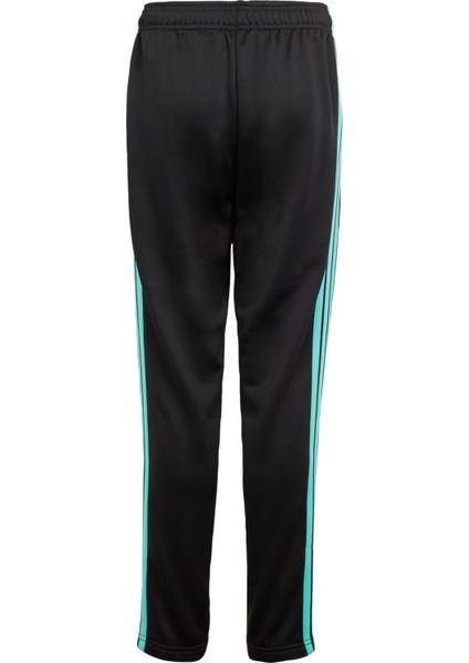 Performance JV5431 MERCEDES - AMG PETRONAS FORMULA ONE TEAM DNA PANT