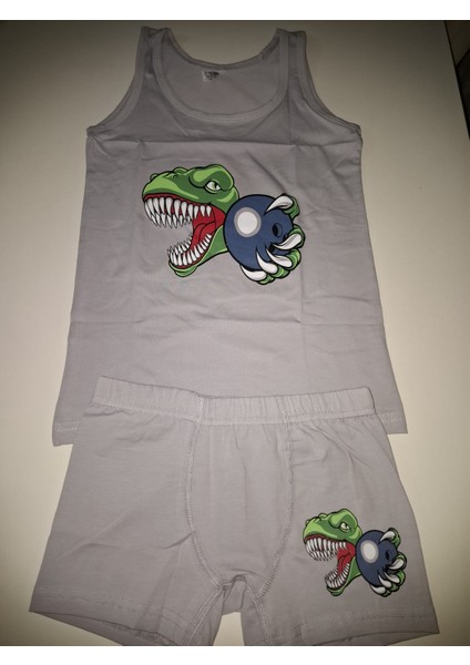 Erkek Çocuk Parça Baskılı Şortlu Takım