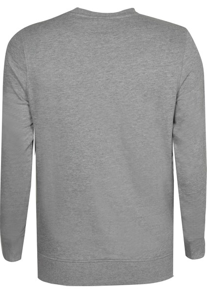 Erkek Sweatshırt 12155835-LIGHT-GREY