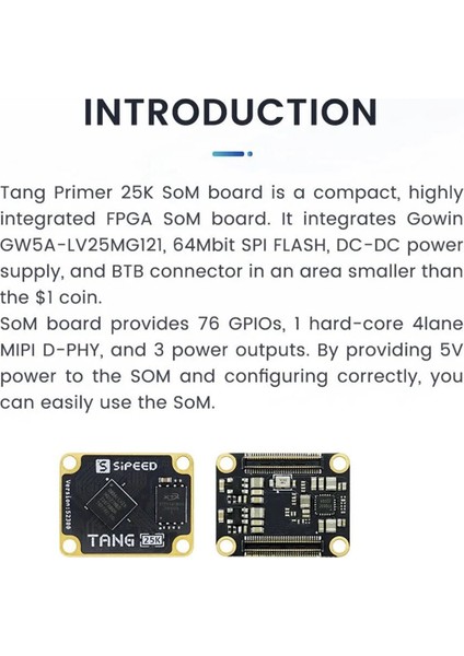 Tang Primer 25K Çekirdek Kartı Gowın GW5A Rıscv Fpga Geliştirme Kartı (Yurt Dışından)