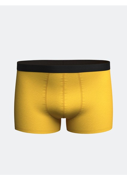 Lc Waıkıkı Standart Kalıp Pamuklu Esnek Erkek Boxer 3'lü