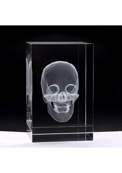 3D Kristal Kafatası Modeli fiyatları