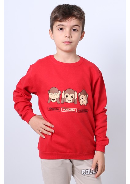Erkek Çocuk Şardonlu Sweat Karakter Baskılı Ribanalı E34
