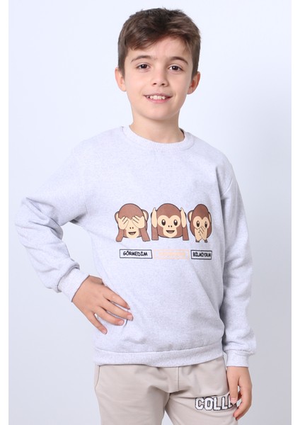 Erkek Çocuk Şardonlu Sweat Karakter Baskılı Ribanalı E34