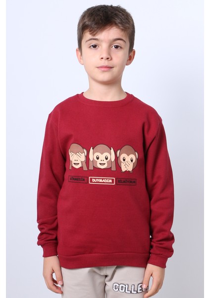 Erkek Çocuk Şardonlu Sweat Karakter Baskılı Ribanalı E34