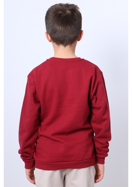 Erkek Çocuk Şardonlu Sweat Karakter Baskılı Ribanalı E34
