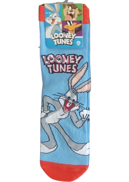 Lisanslı Renkli 4 Çift Çocuk Çorap fiyatları