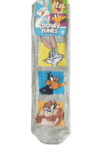 Lisanslı Renkli 4 Çift Çocuk Çorap indirimleri