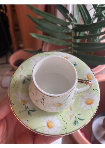 Papatya Desen 6kişilik Türk Kahvesi Fincanı fiyatları