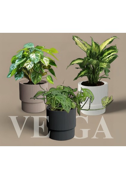 Serinova Vega Dekoratif Modern Saksı 33 Lt fiyatları