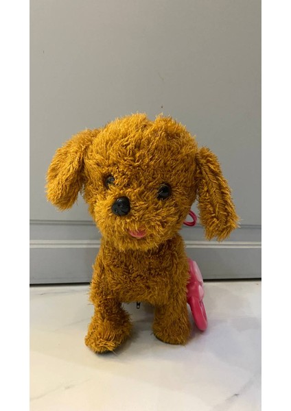 Müzikli Yürüyen Havlayan Yalayan Kuyruk ve Başını Sallayan Ses Kaydını Tekrarlayan Peluş Köpek