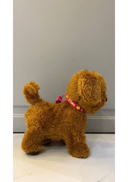 Müzikli Yürüyen Havlayan Yalayan Kuyruk ve Başını Sallayan Ses Kaydını Tekrarlayan Peluş Köpek