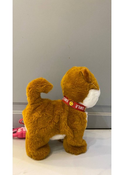 Müzikli Yürüyen Havlayan Yalayan Kuyruk ve Başını Sallayan Ses Kaydını Tekrarlayan Peluş Köpek fırsatları