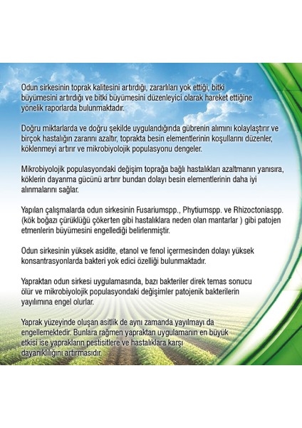 Astorex Odun Sirkesi 5 Lt.