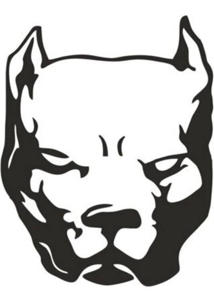 Pitbull Duvar Dekor Sticker 40 x 48 cm