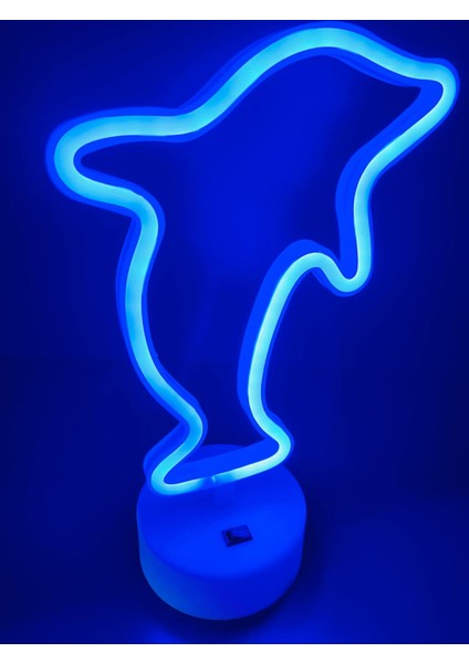 3D Neon LED Işıklı Masaüstü Pilli ve Kablolu Dekoratif Gece Lambası