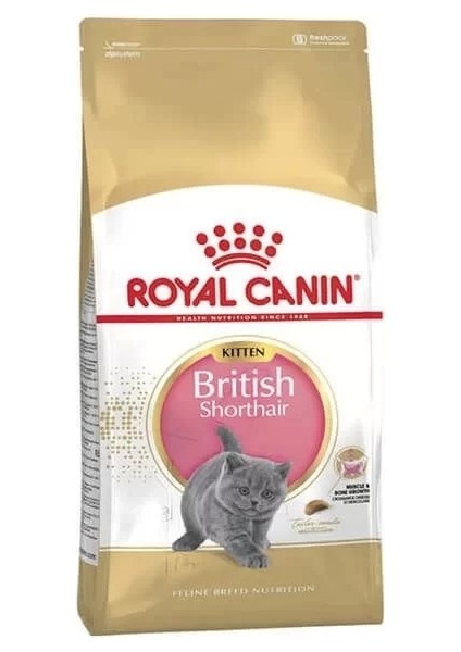 British Shorthair Kitten Yavru Kedi Maması 2 kg